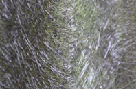 Greencastle fibreglass roof work